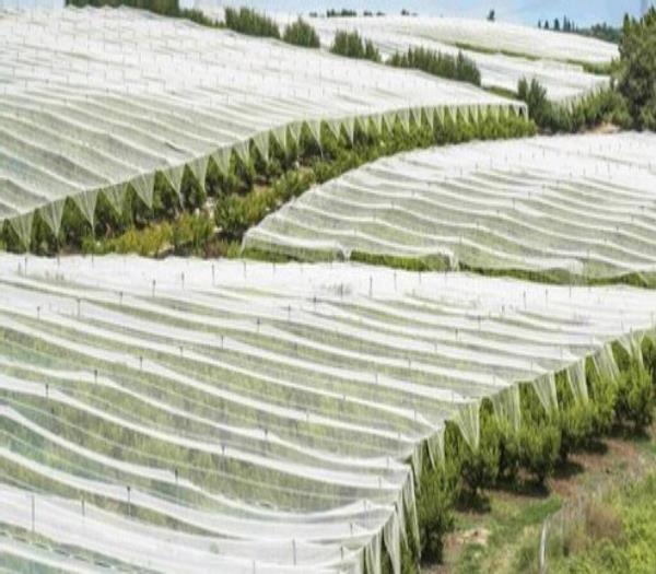 PP non-woven fabric in Agriculture